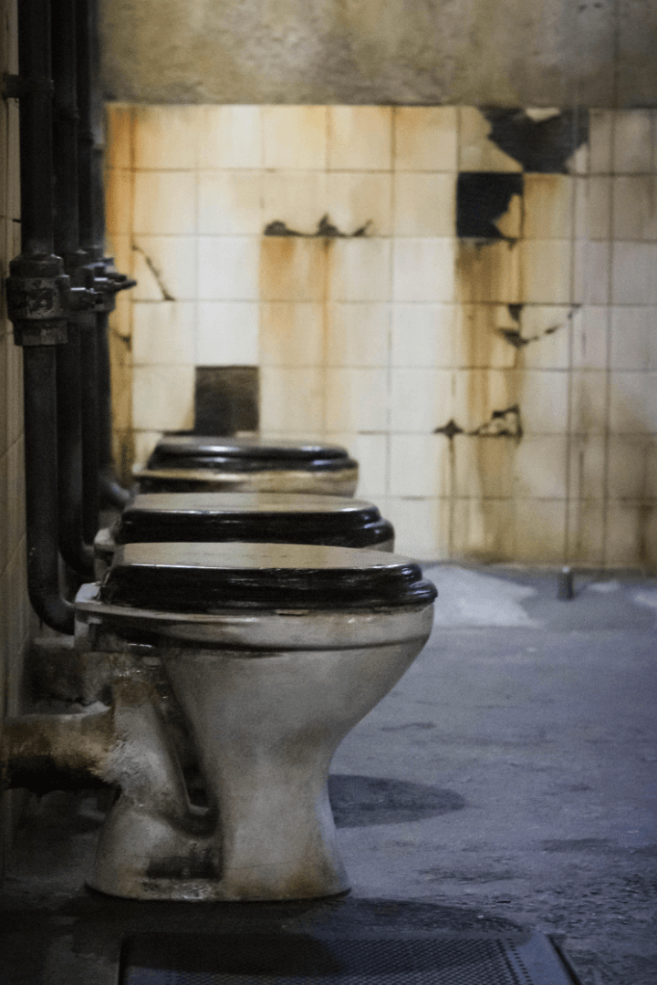 Row of toilets aligned in a derelict restoom