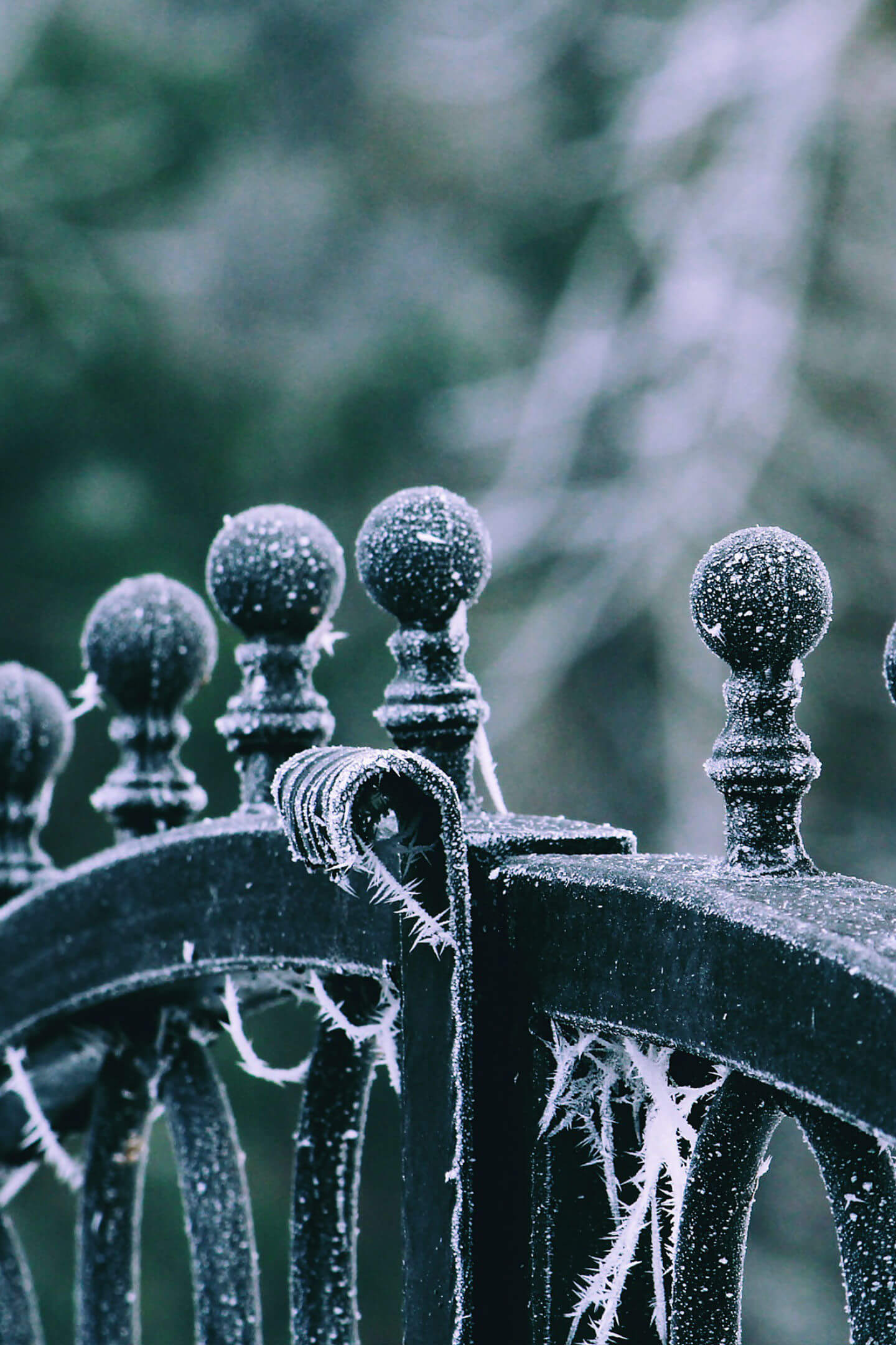 Breaking News: Community Gates Fail — Residents Meet Undead Neighbors